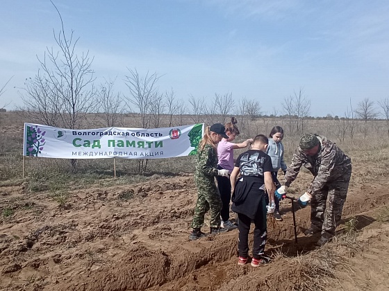 Лесничества Волгоградской области становятся участниками «Сада Памяти»